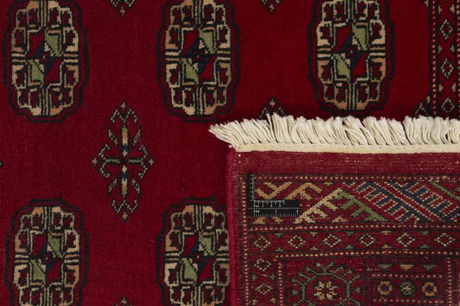 Pakistan Buchara 2ply - 1