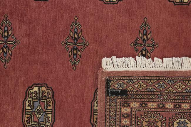 Pakistan Buchara 2ply - 1