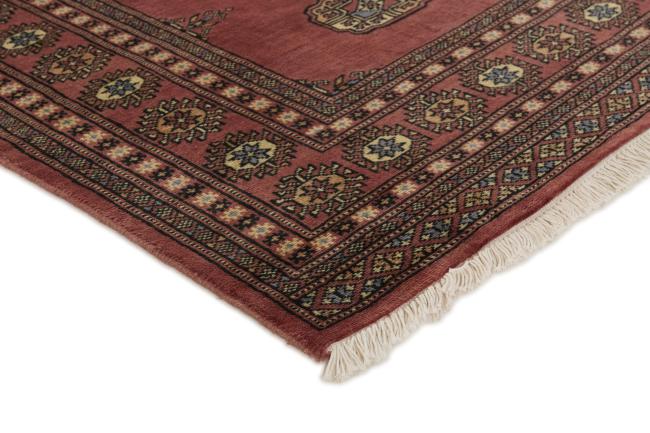 Pakistan Buchara 2ply - 3