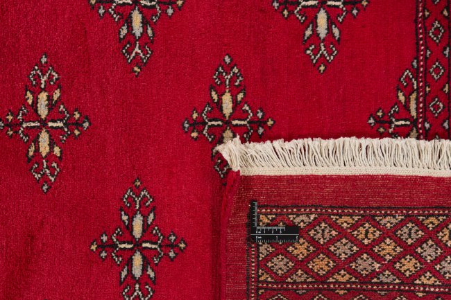 Pakistan Buchara 2ply - 1