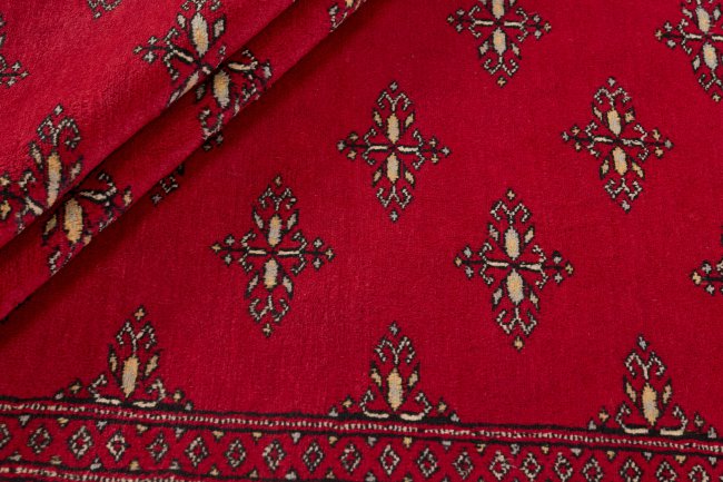 Pakistan Buchara 2ply - 2