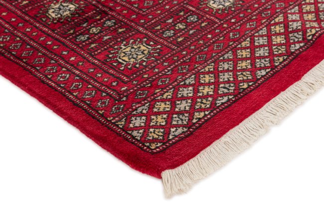 Pakistan Buchara 2ply - 3