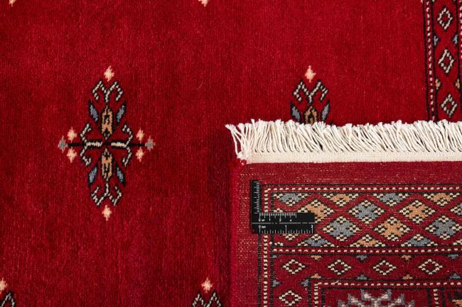 Pakistan Buchara 3ply - 1