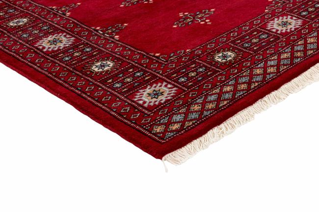 Pakistan Buchara 3ply - 3