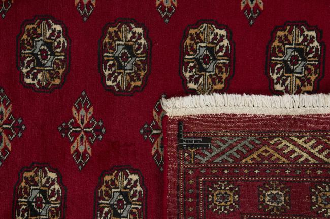 Pakistan Buchara 2ply - 1