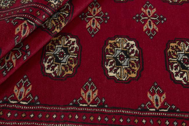 Pakistan Buchara 2ply - 2