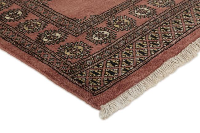 Pakistan Buchara 2ply - 3