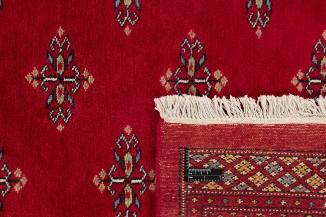 Pakistan Buchara 2ply - 1