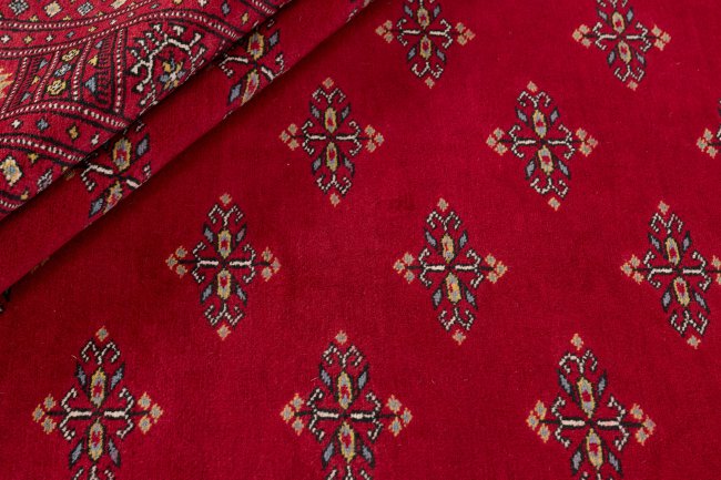 Pakistan Buchara 2ply - 2