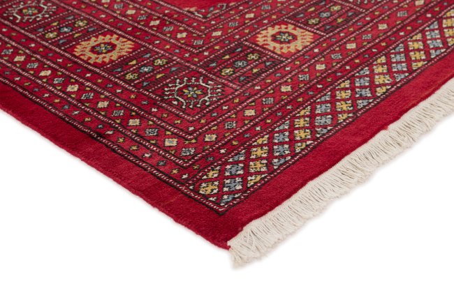 Pakistan Buchara 2ply - 3