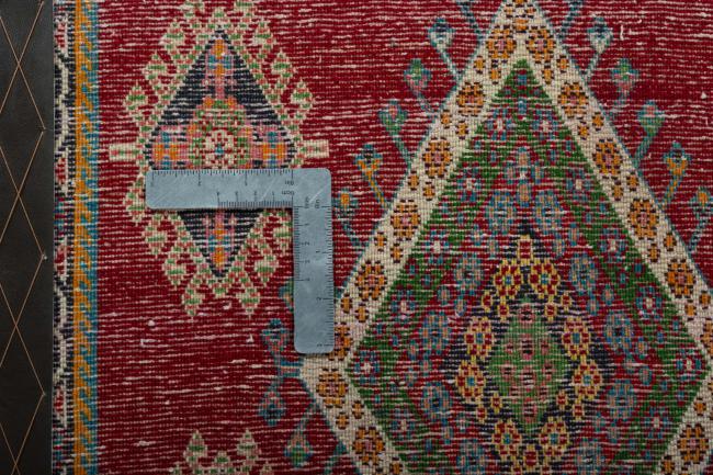 Shiraz - 4