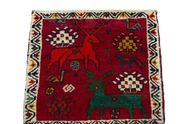 Shiraz - 3