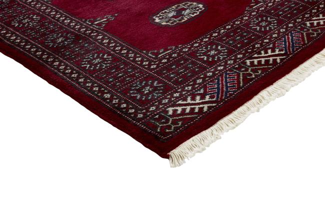 Pakistan Buchara 2ply - 3