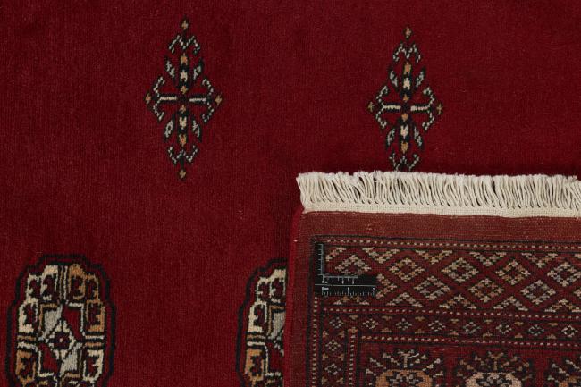 Pakistan Buchara 2ply - 1