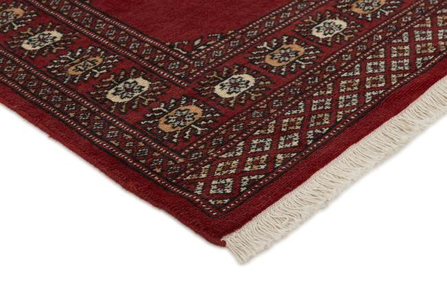 Pakistan Buchara 2ply - 3