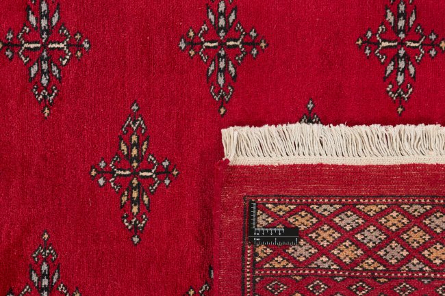 Pakistan Buchara 2ply - 1