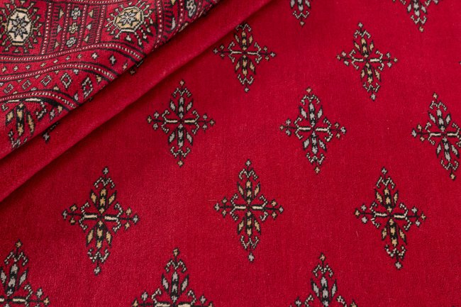 Pakistan Buchara 2ply - 2