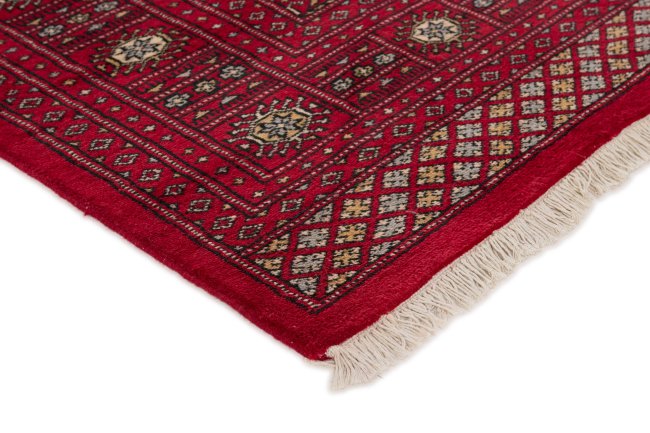 Pakistan Buchara 2ply - 3
