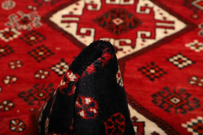 Shiraz - 10