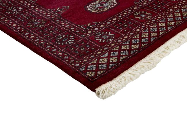 Pakistan Buchara 2ply - 3