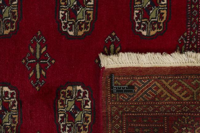 Pakistan Buchara 2ply - 1