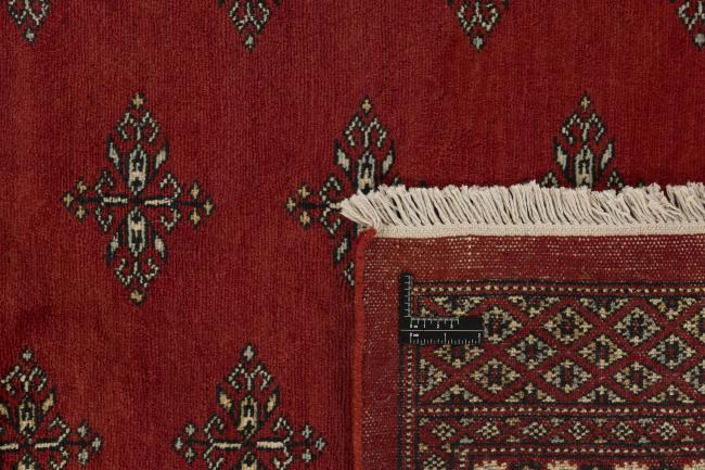 Pakistan Buchara 2ply - 1
