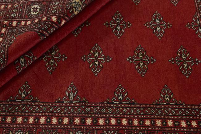 Pakistan Buchara 2ply - 2