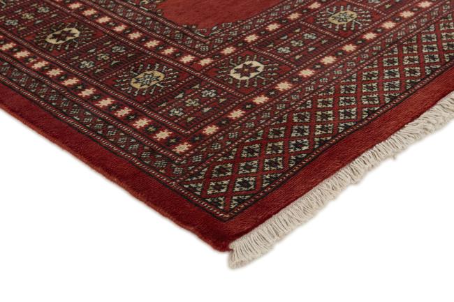 Pakistan Buchara 2ply - 3