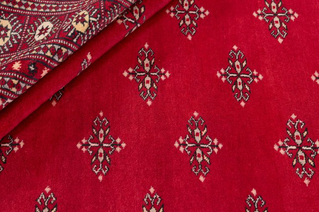 Pakistański Buchara 2ply - 2