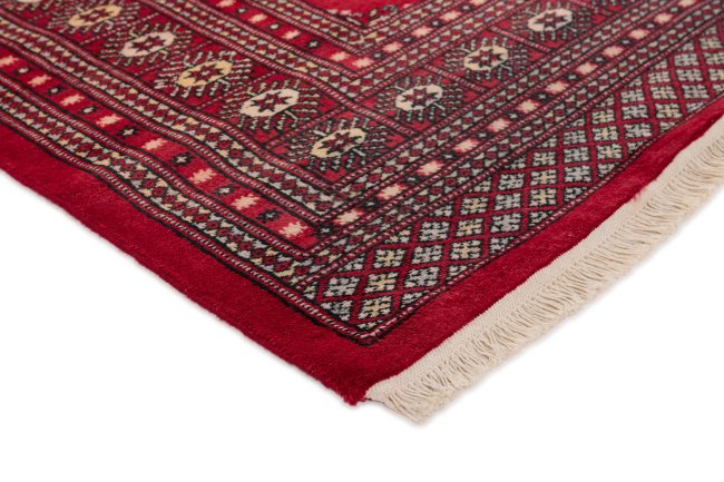 Pakistański Buchara 2ply - 3