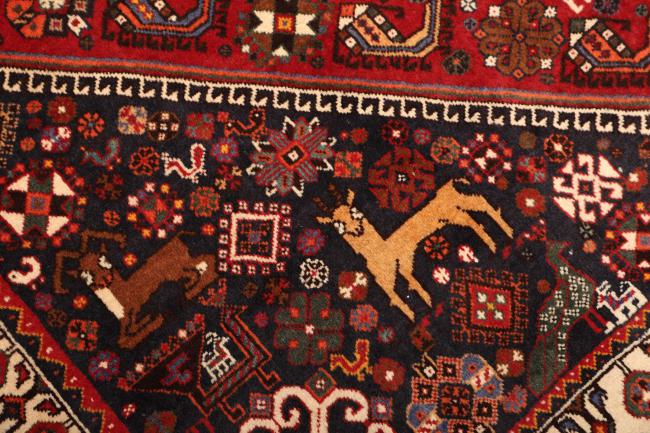 Shiraz - 5
