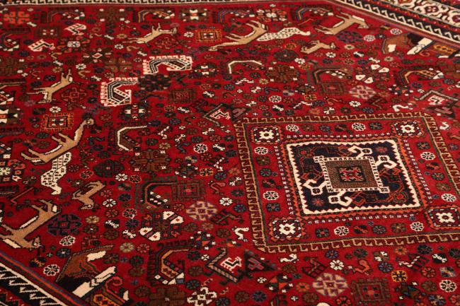 Shiraz - 6
