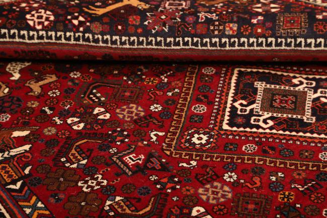 Shiraz - 9