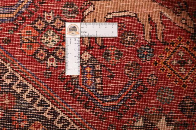 Shiraz - 10