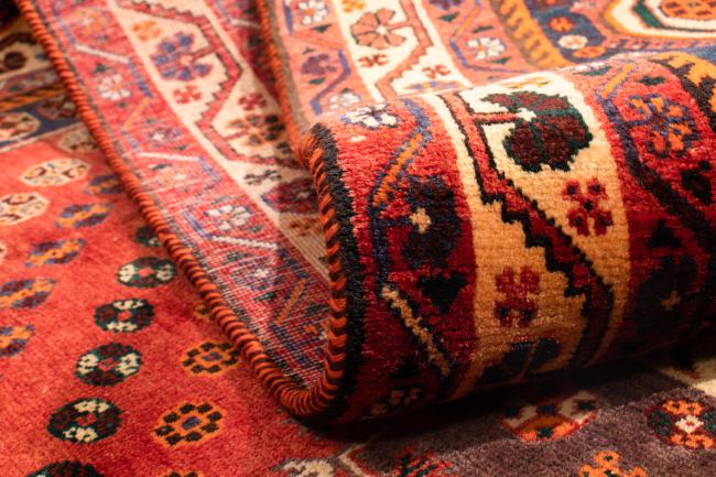 Shiraz - 5