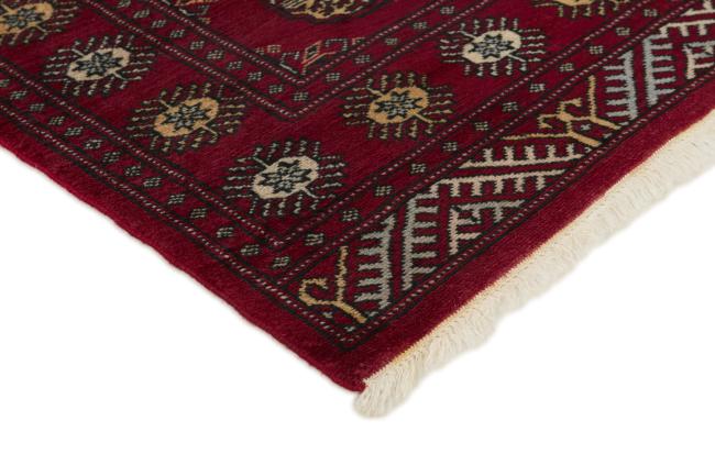 Pakistan Buchara 2ply - 3