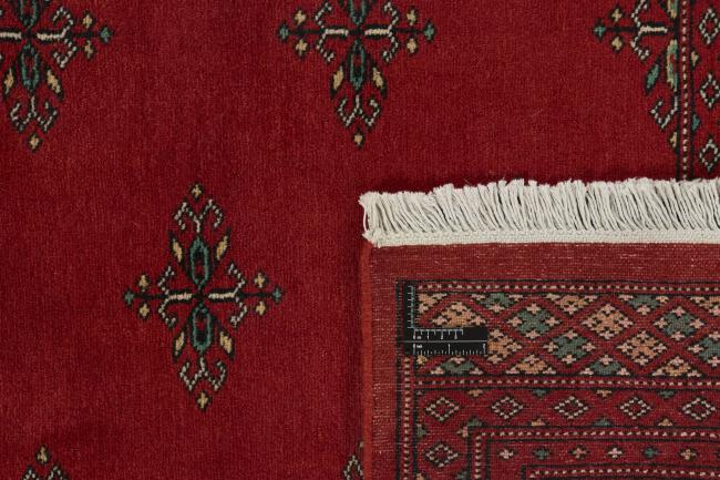 Pakistan Buchara 2ply - 1