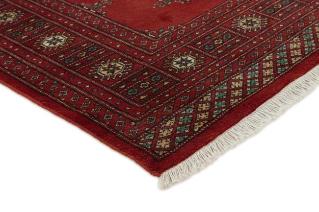 Pakistan Buchara 2ply - 3