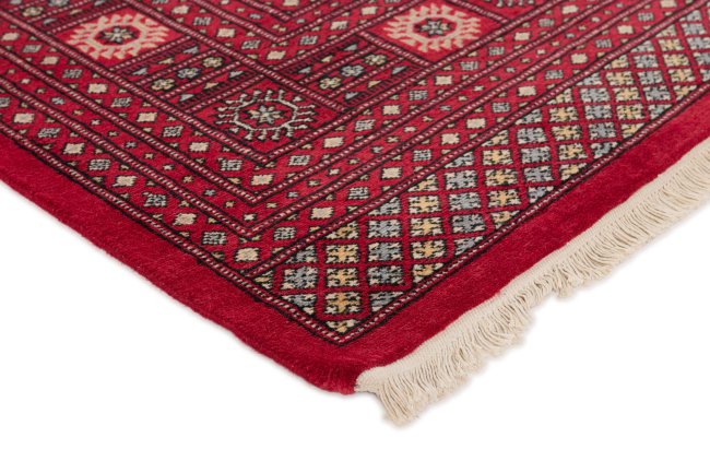 Pakistan Buchara 2ply - 3