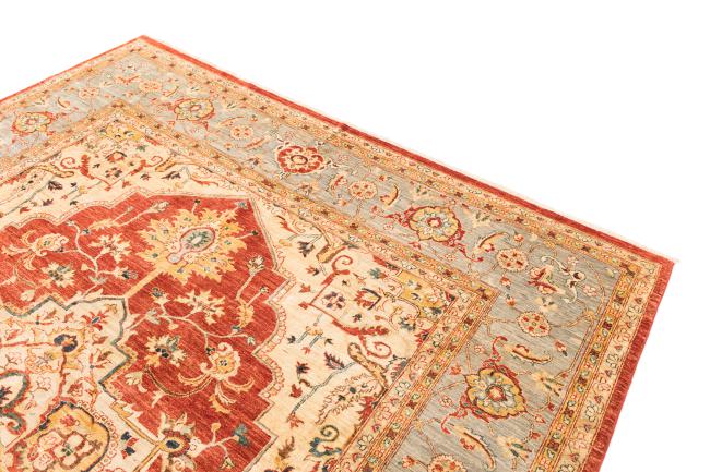Ziegler Farahan - 3