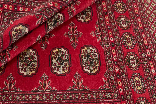 Pakistan Buchara 2ply - 2