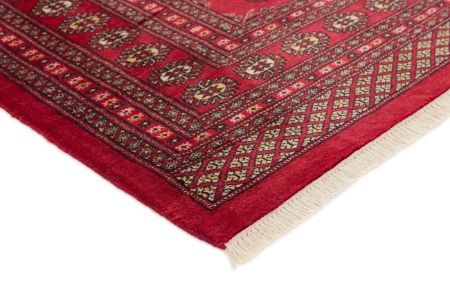 Pakistan Buchara 2ply - 3