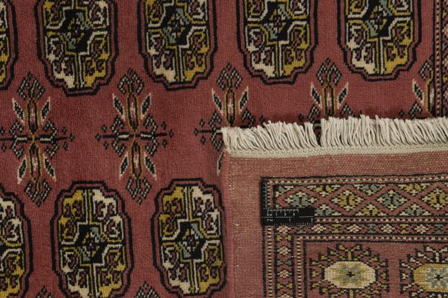 Pakistan Buchara 2ply - 1