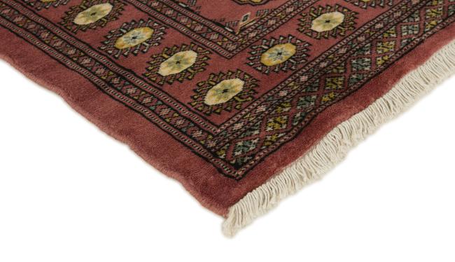 Pakistan Buchara 2ply - 3