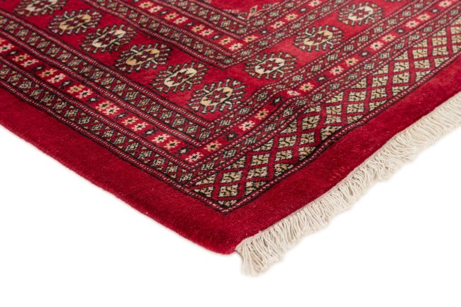 Pakistan Buchara 2ply - 2