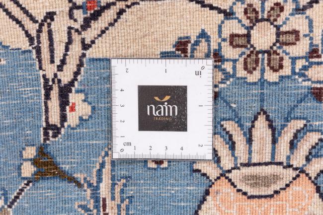 Nain - 6