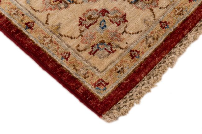 Ziegler Farahan - 5
