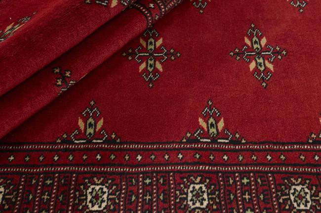 Pakistan Buchara 2ply - 2