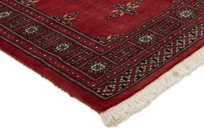 Pakistan Buchara 2ply - 3