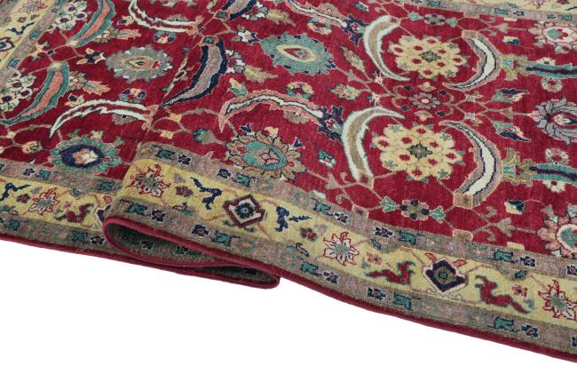 Ziegler Farahan - 6